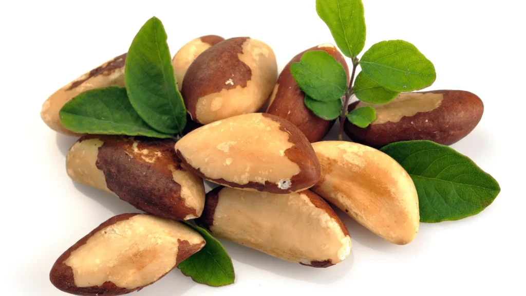 Noix de Brésil, fruits à coque, sélénium, Amazonie, alimentation saine