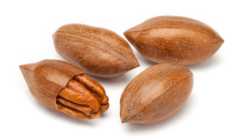 Image de quatre pécans, dont une ouverte montrant son amande marron texturée, entourées de coques marron lisses.