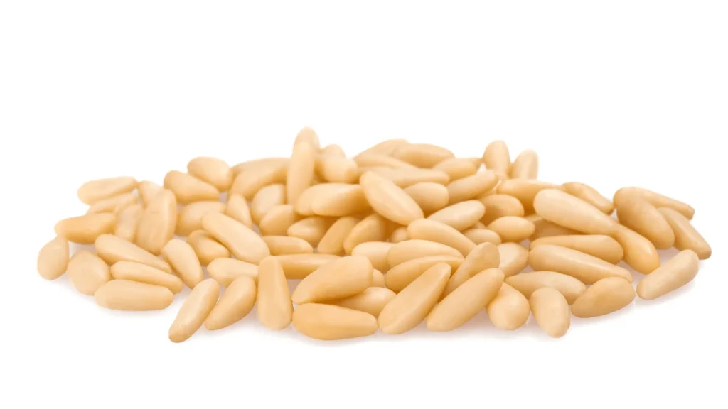 Gros plan sur des grains de pin de couleur claire, allongées et lisses, étalées sur un fond