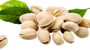 La culture du pistachier : origine, techniques et soins nécessaires