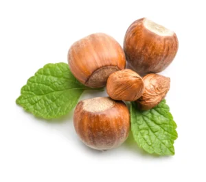 Noisette: Guide complet pour la cultiver