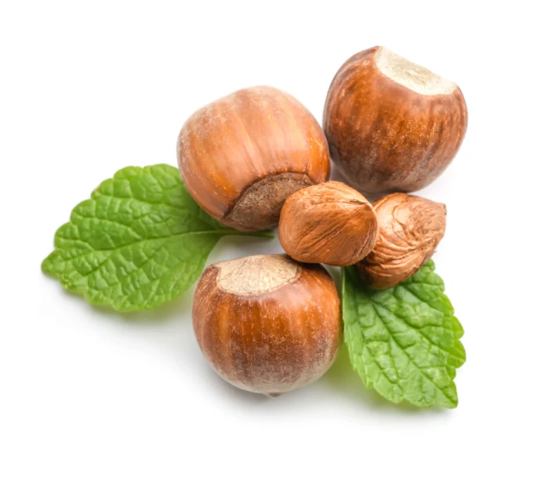 Savoureuses noisettes sur fond blanc