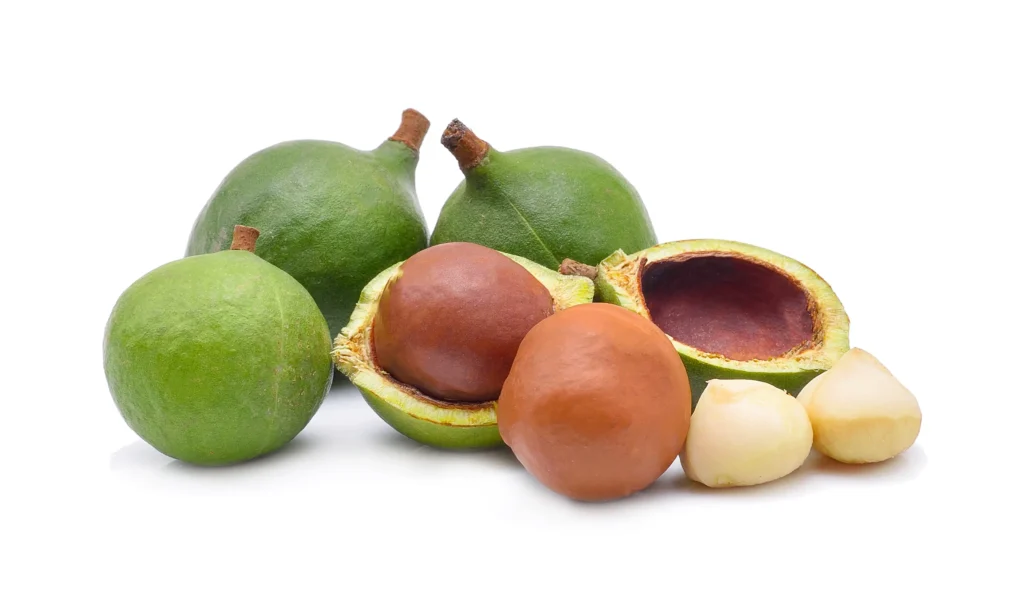noix de macadamia sur blanc