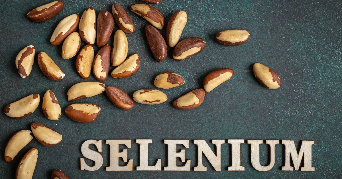 Noix du Brésil, source naturelle de sélénium Plusieurs noix du Brésil éparpillées sur une surface foncée avec le mot "SELENIUM" inscrit en lettres majuscules, soulignant leur teneur élevée en cet élément nutritif.